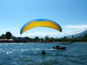 Titi in the water Acrolac