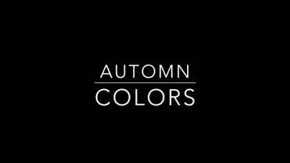 automn colors