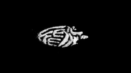 Gradient Freestyle 2