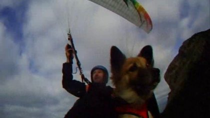 helico with dog 