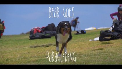 Bear Goes Paragliding!