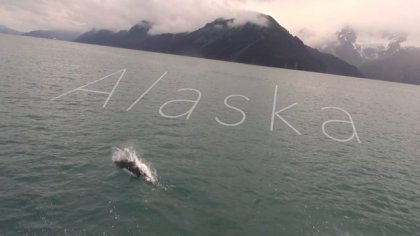Max Alaska Trip